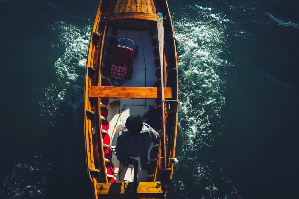 Flora regionu jest równie imponująca – od typowych dla polskich krajobrazów brzóz i sosen, po rzadziej spotykane gatunki jak różaneczniki czy modrzewie europejskie