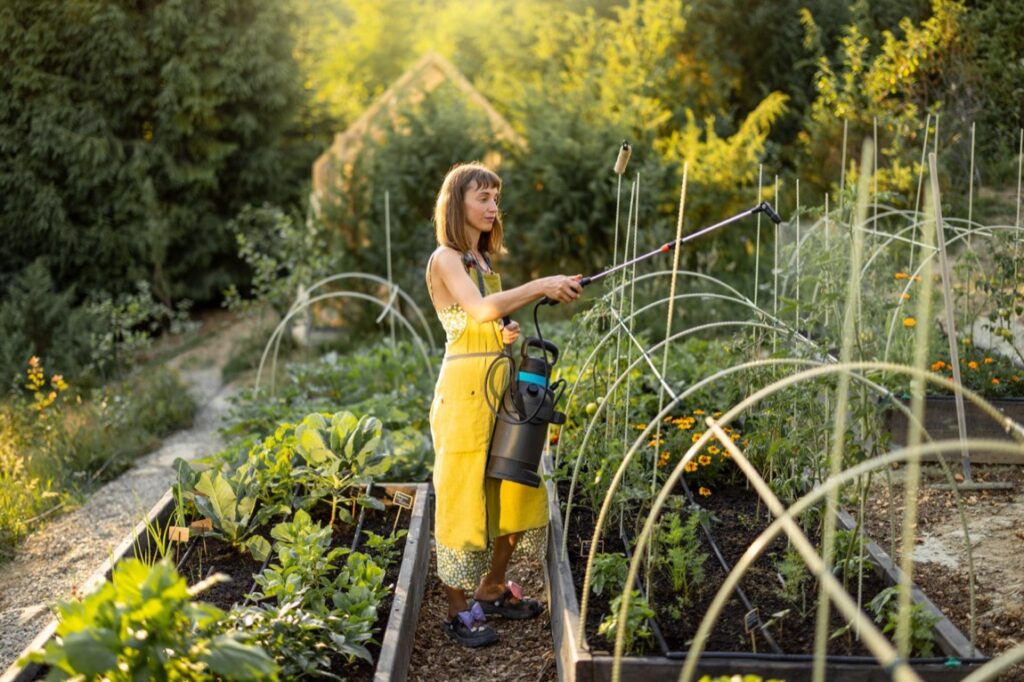 Posiadanie działki z linią brzegową oferuje szereg nietuzinkowych zalet.